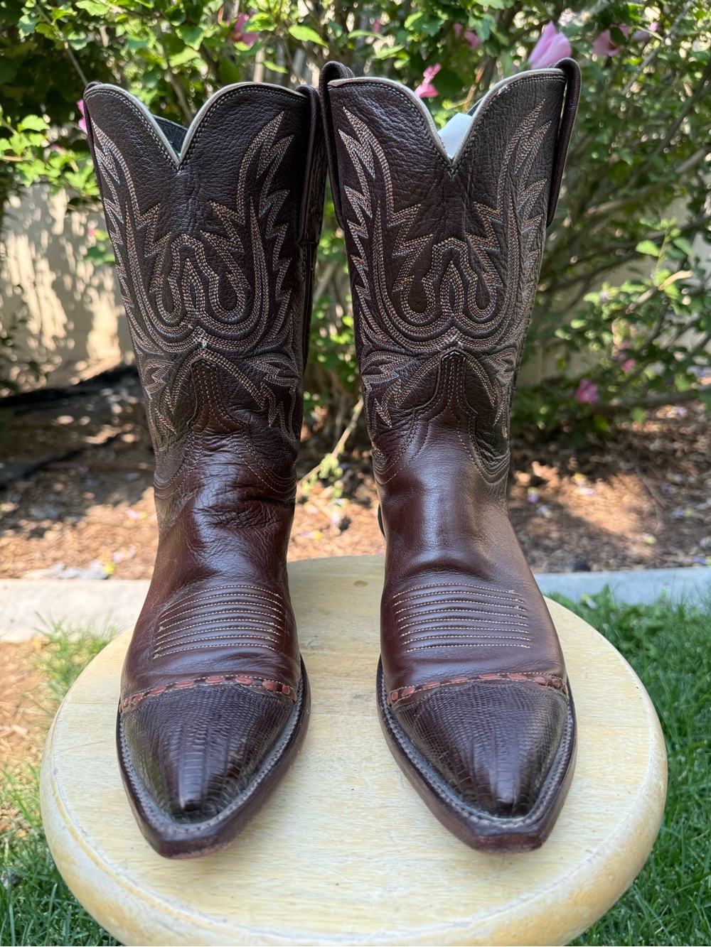 Lucchese 1883 Women's Exotic Western Boots Size 9 B Brown
With Lizard Tips USA - Picture 2 of 15